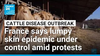 French Military Activates Mass Vaccination Drive Against Cattle Disease Epidemic