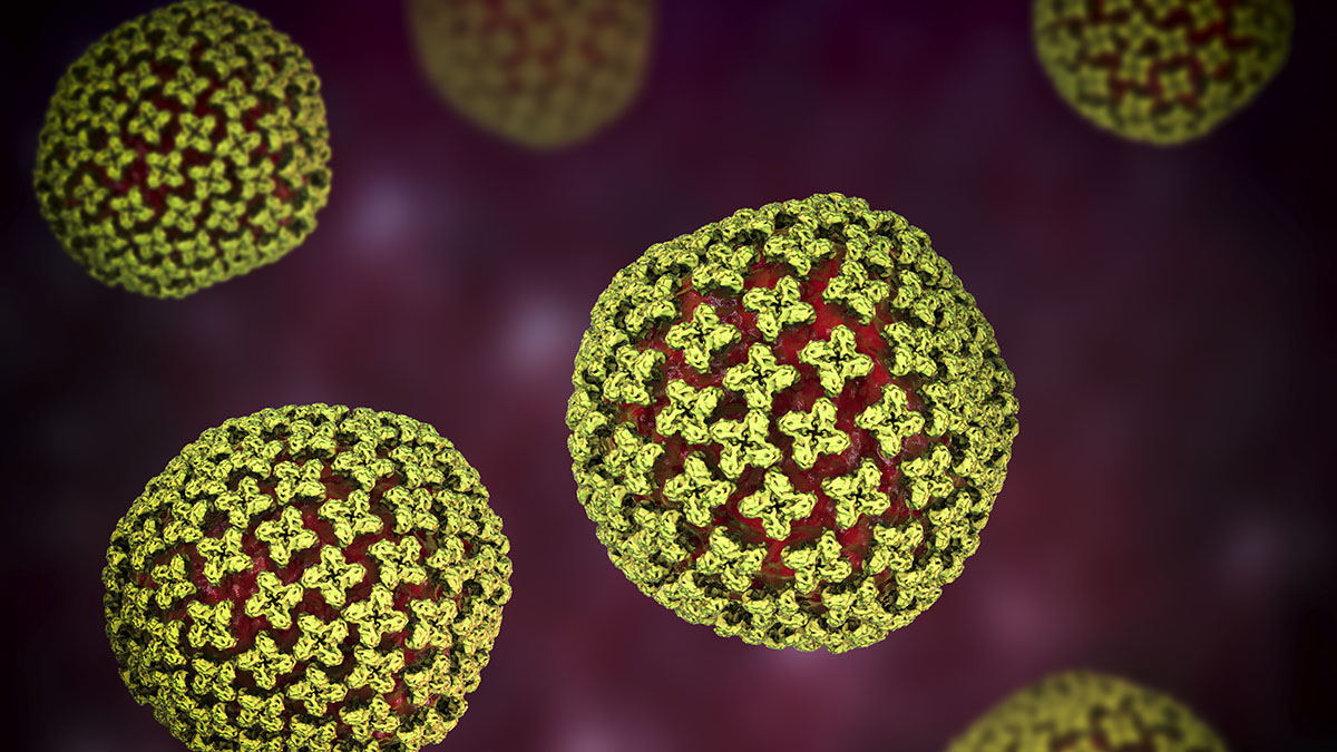 Hantavirus Outbreak on Cruise Ship Triggers Urgent Evacuation to Canary Islands