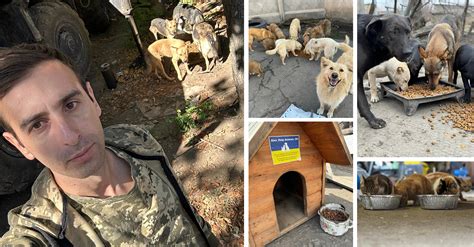 Odessa Recruitment Staff Maim Dog, Spray Gas in Escalating Violent Tactics